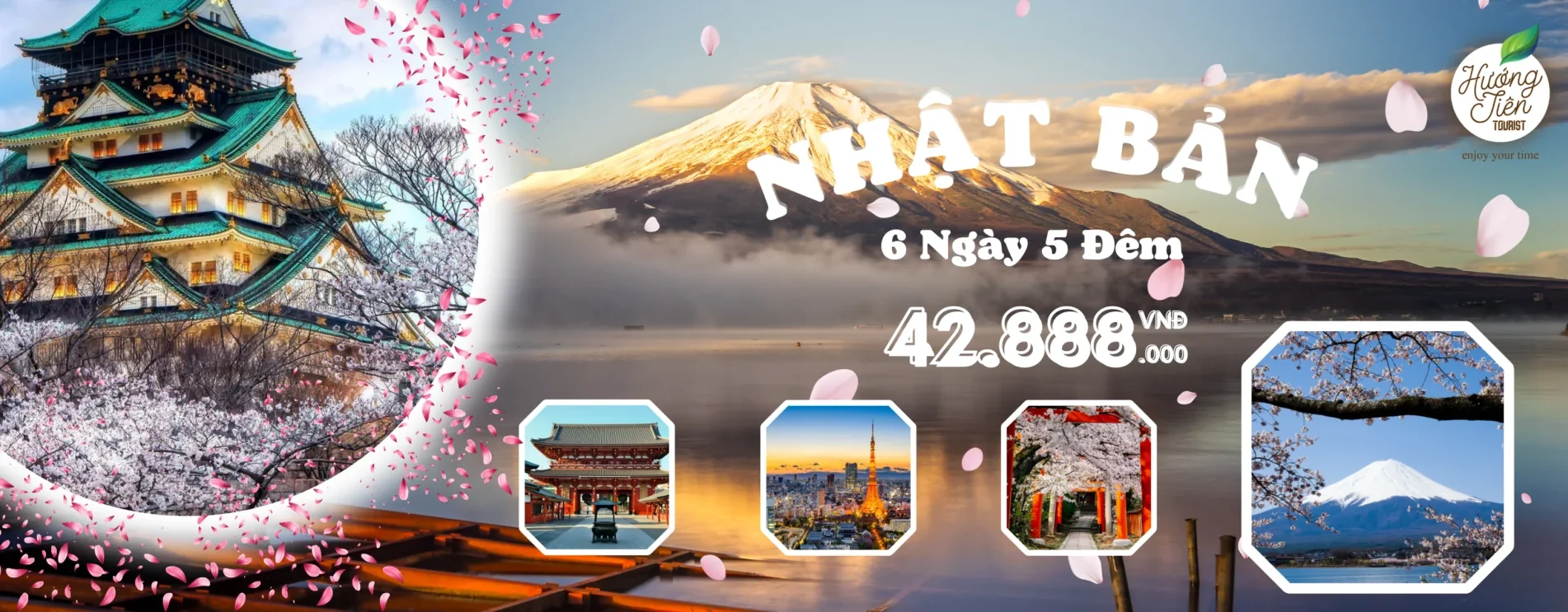 tour nhat ban hoa anh dao