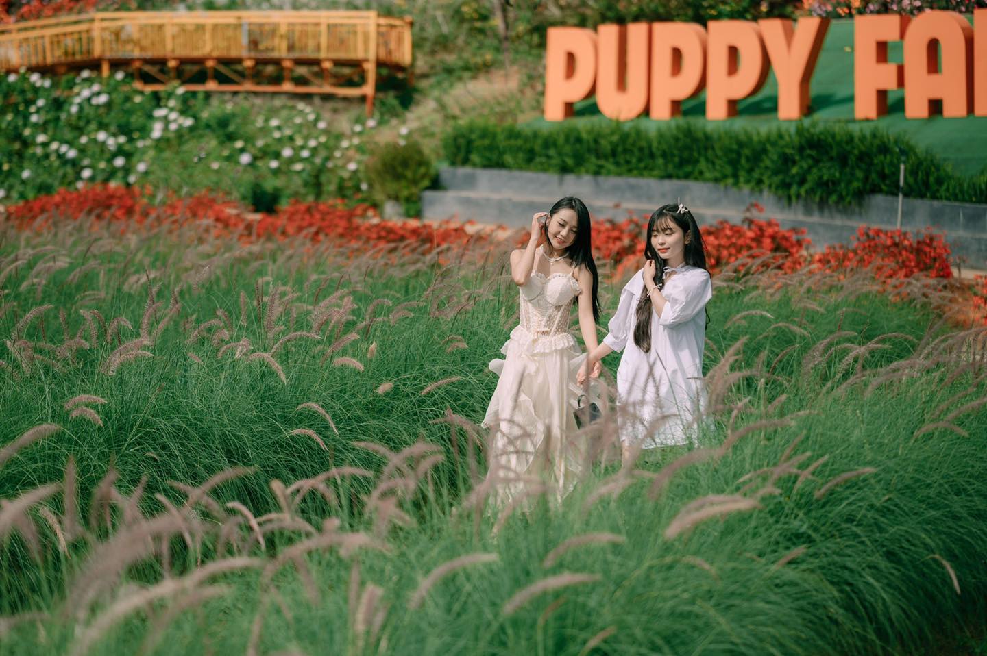 nông trại puppy farm Đà Lạt