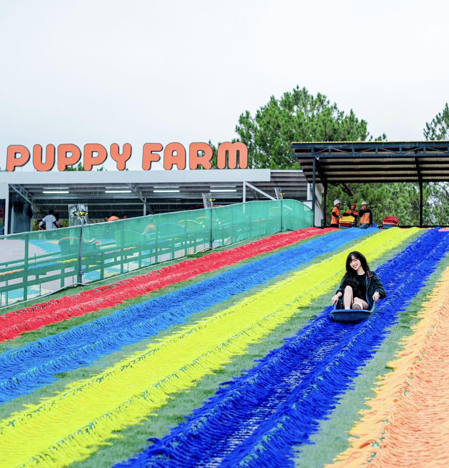 nông trại puppy farm Đà Lạt