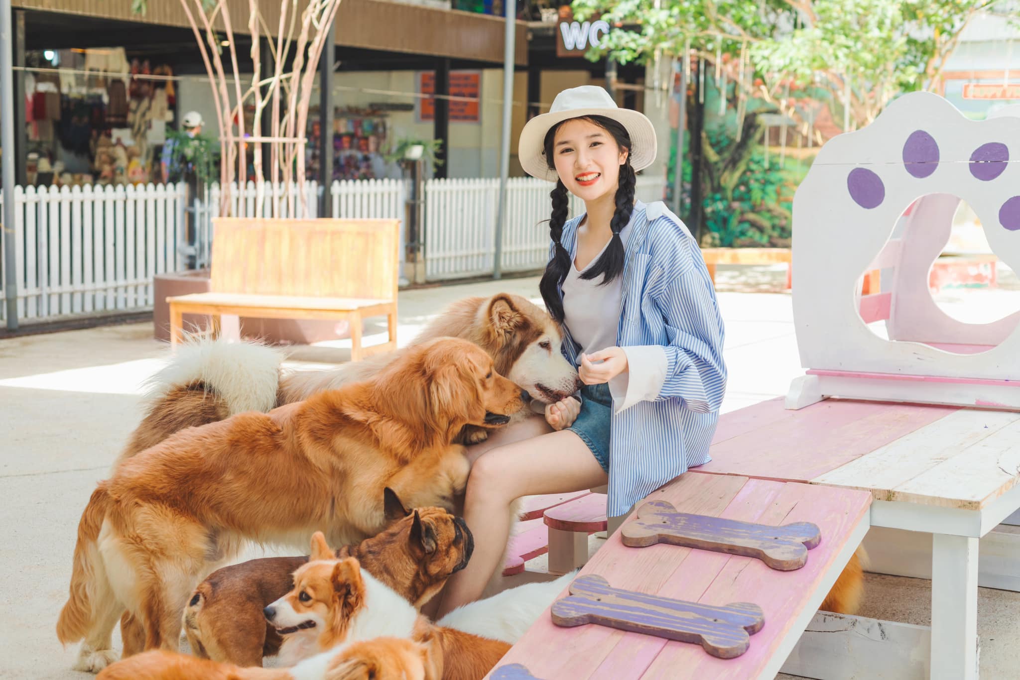 nông trại puppy farm Đà Lạt