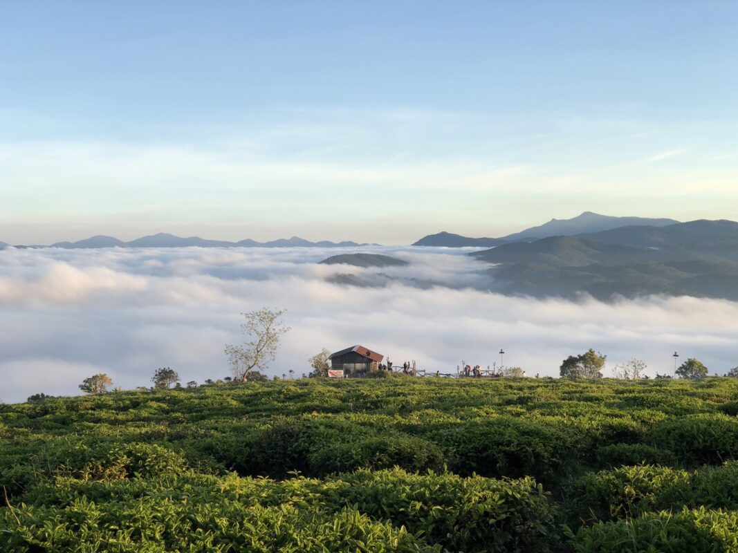 địa điểm săn mây ở đà lạt