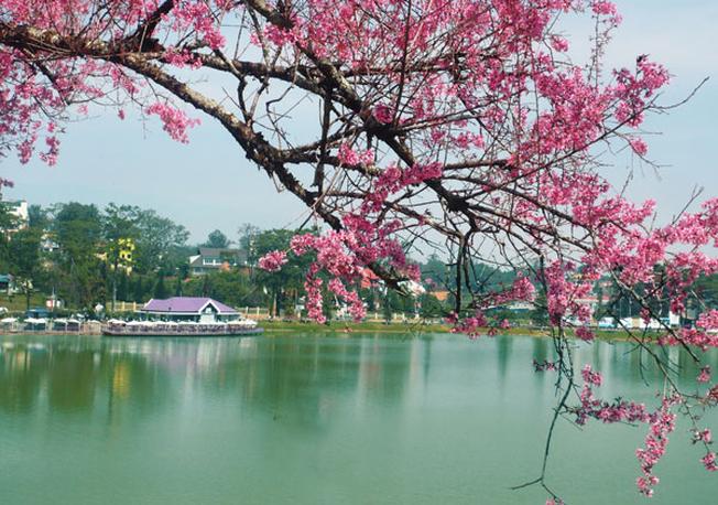 Hồ Xuân Hương Đà Lạt