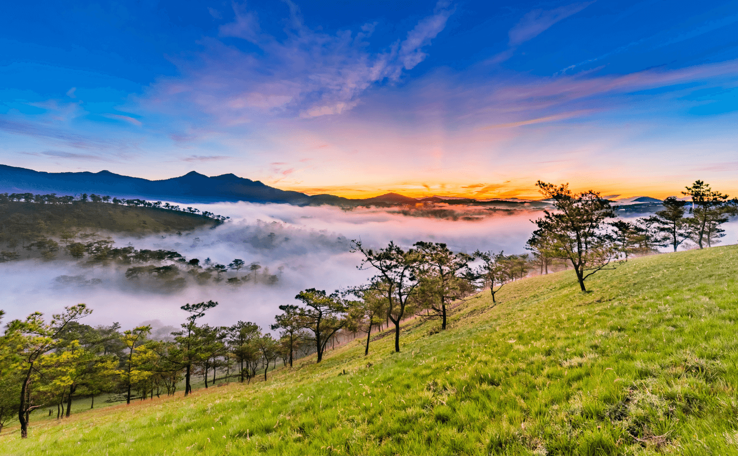Tour Đà lạt