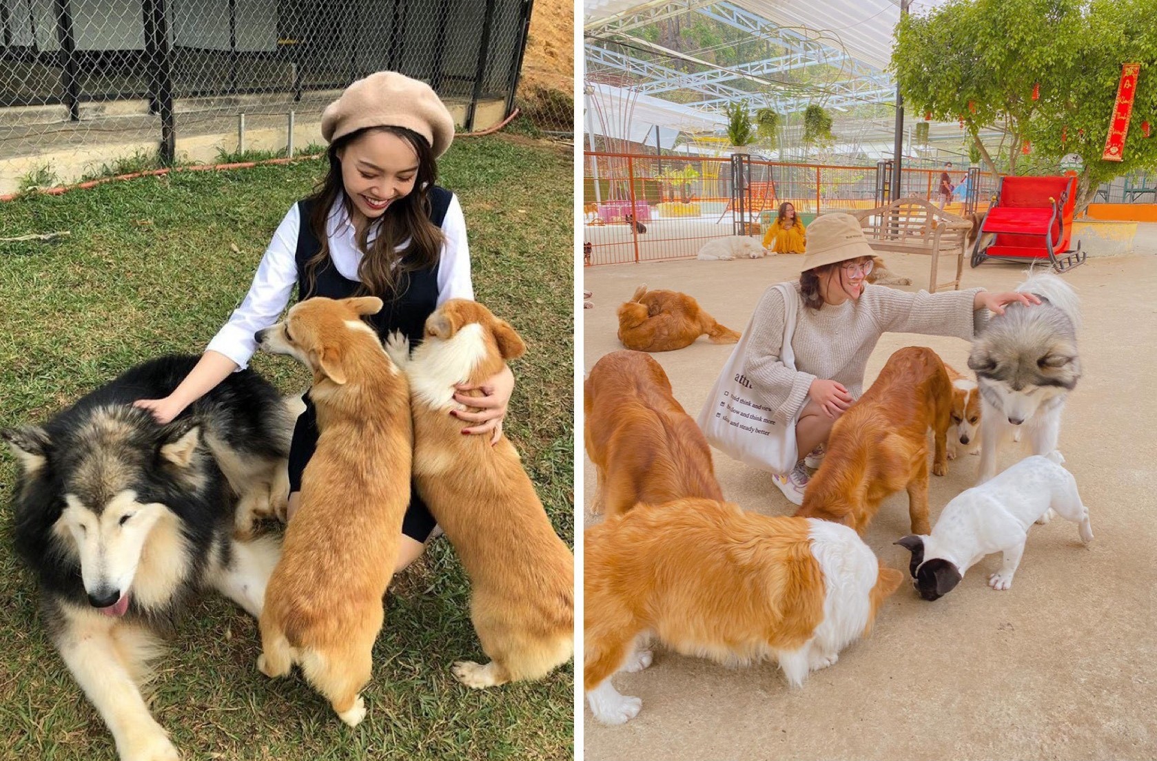 Puppy Farm Đà Lạt 