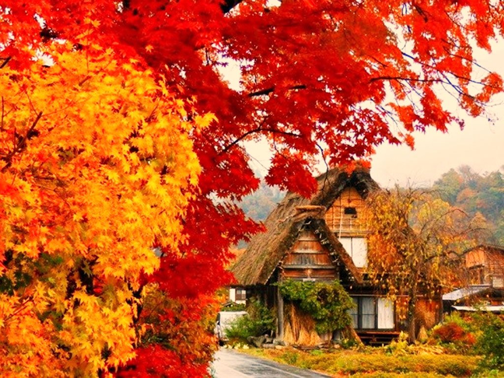 Tour du lịch mùa thu Nhật Bản luôn là điểm đến yêu thích của những tâm hồn thơ mộng