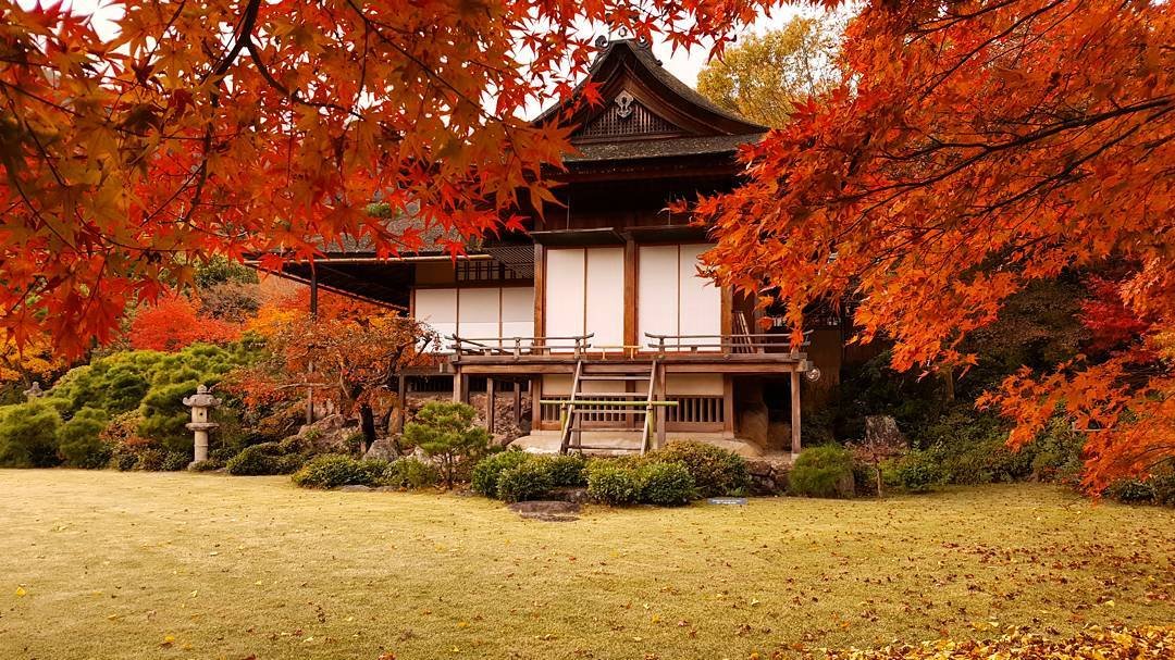 Đền Tofukuji cổ kính là nơi ngắm mùa lá đỏ Nhật Bản đẹp và thơ mộng tại cố đô Kyoto