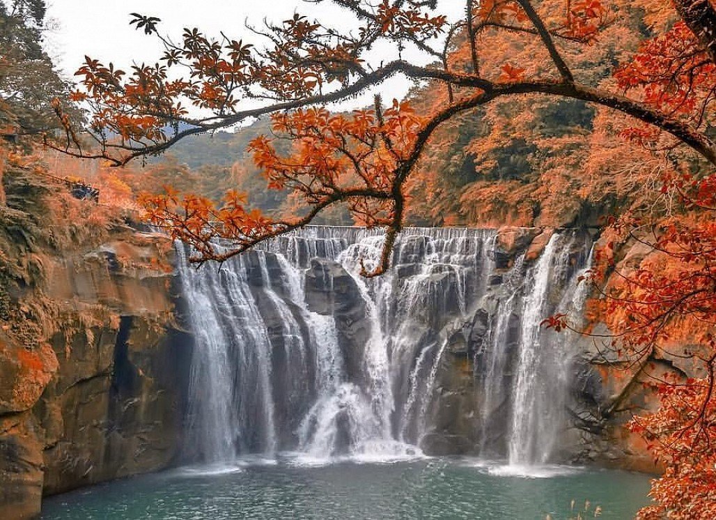 Bức tranh phong cảnh đẹp mắt khi đi tour du lịch mùa thu Đài Loan
