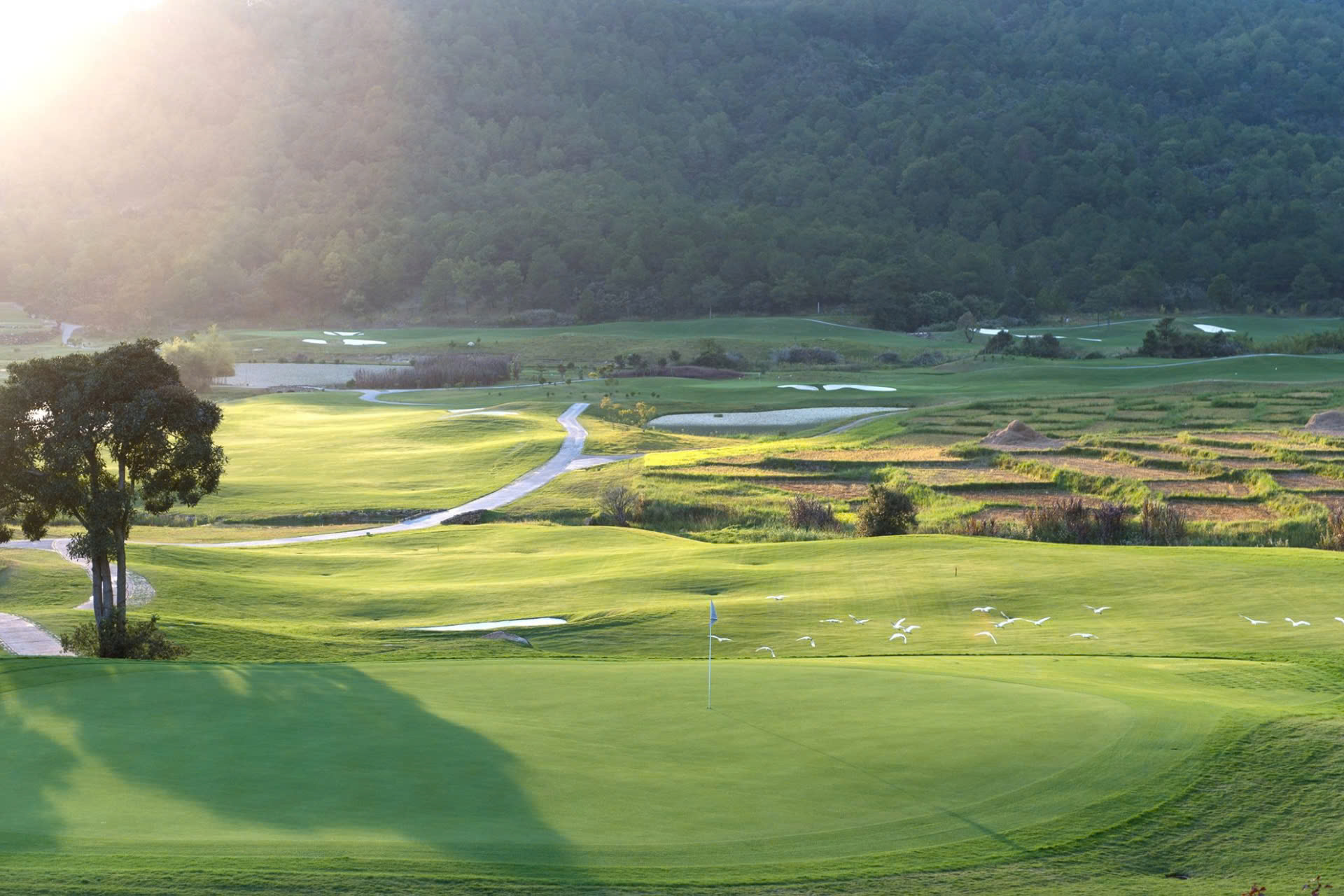 golf tour Đà Lạt