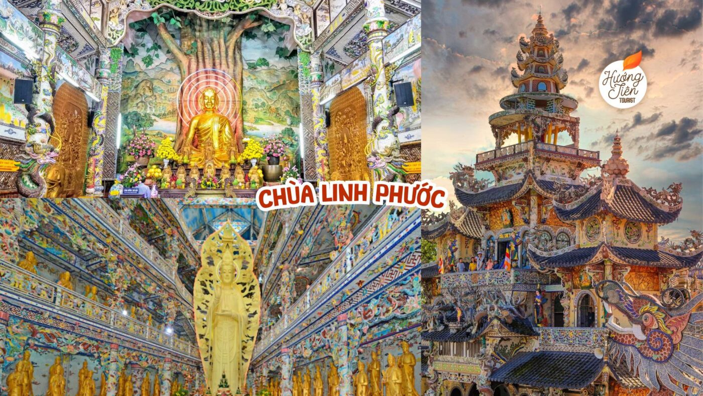 Tour Đà Lạt giá rẻ