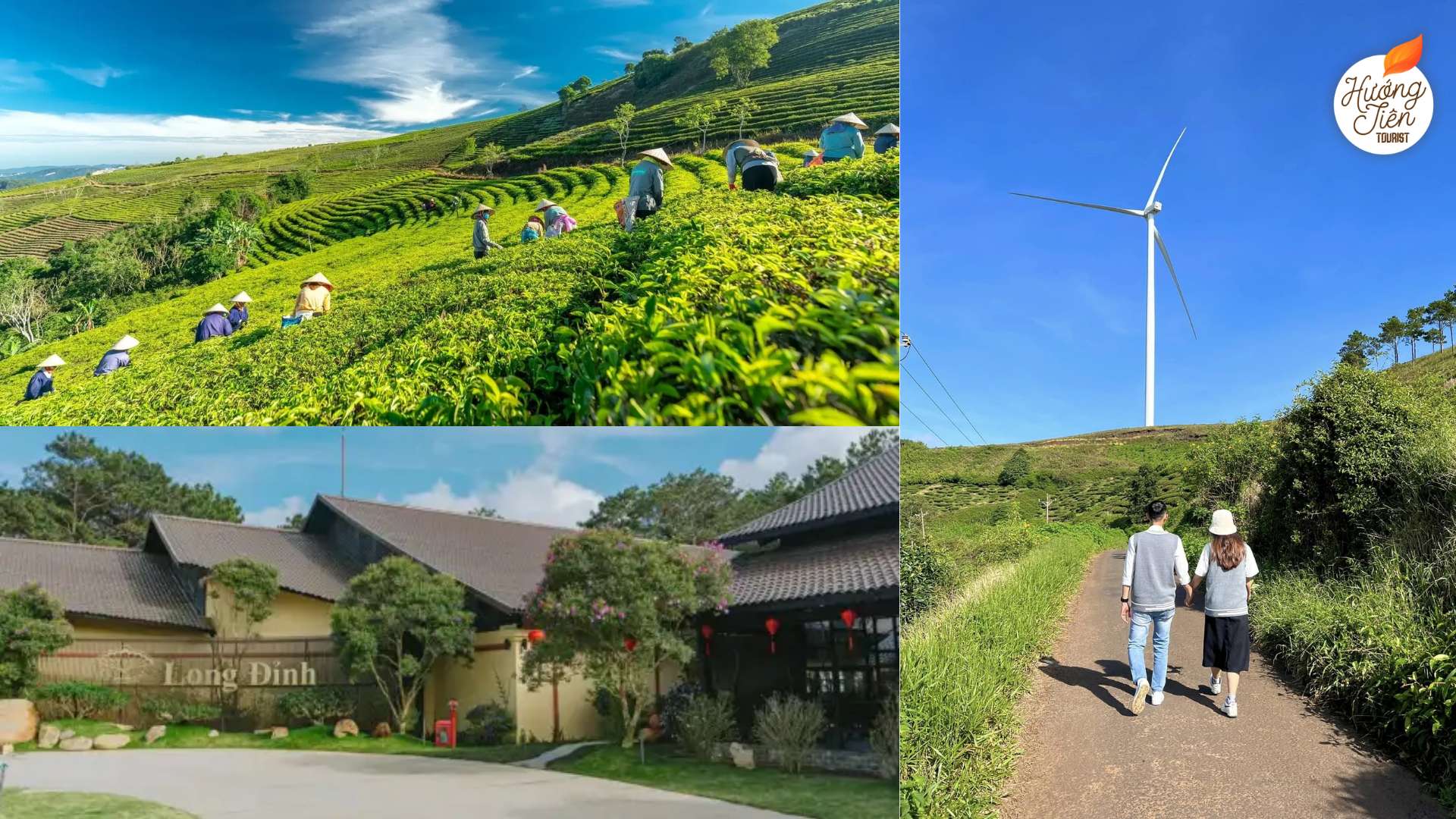 Tour Đà Lạt giá rẻ