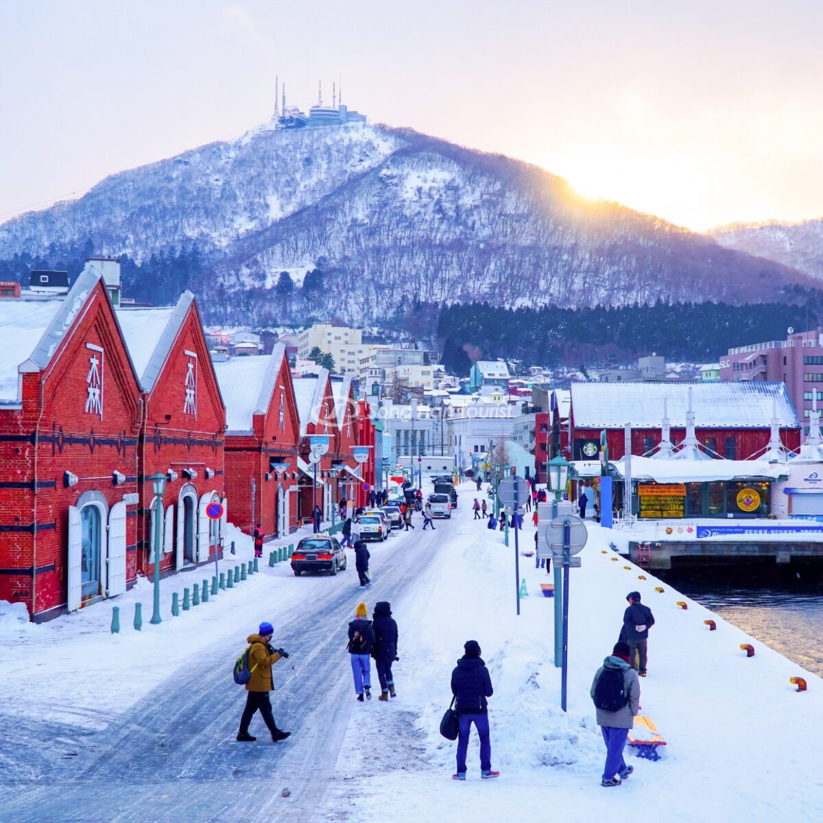 tour-nhat-ban-tet-2024-3