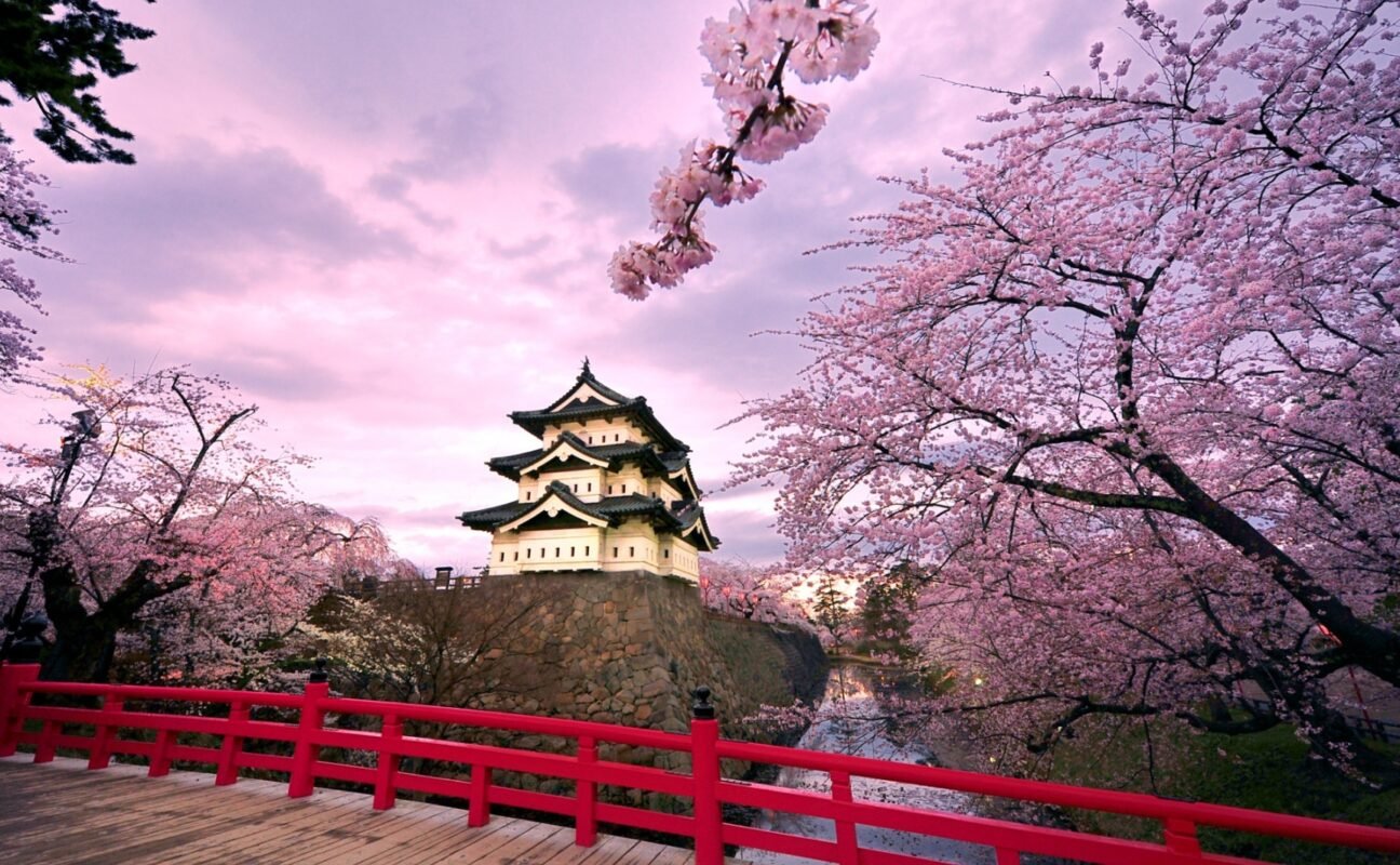 Hoa anh đào Nhật Bản là biểu trưng cho con người và văn hóa nơi đây