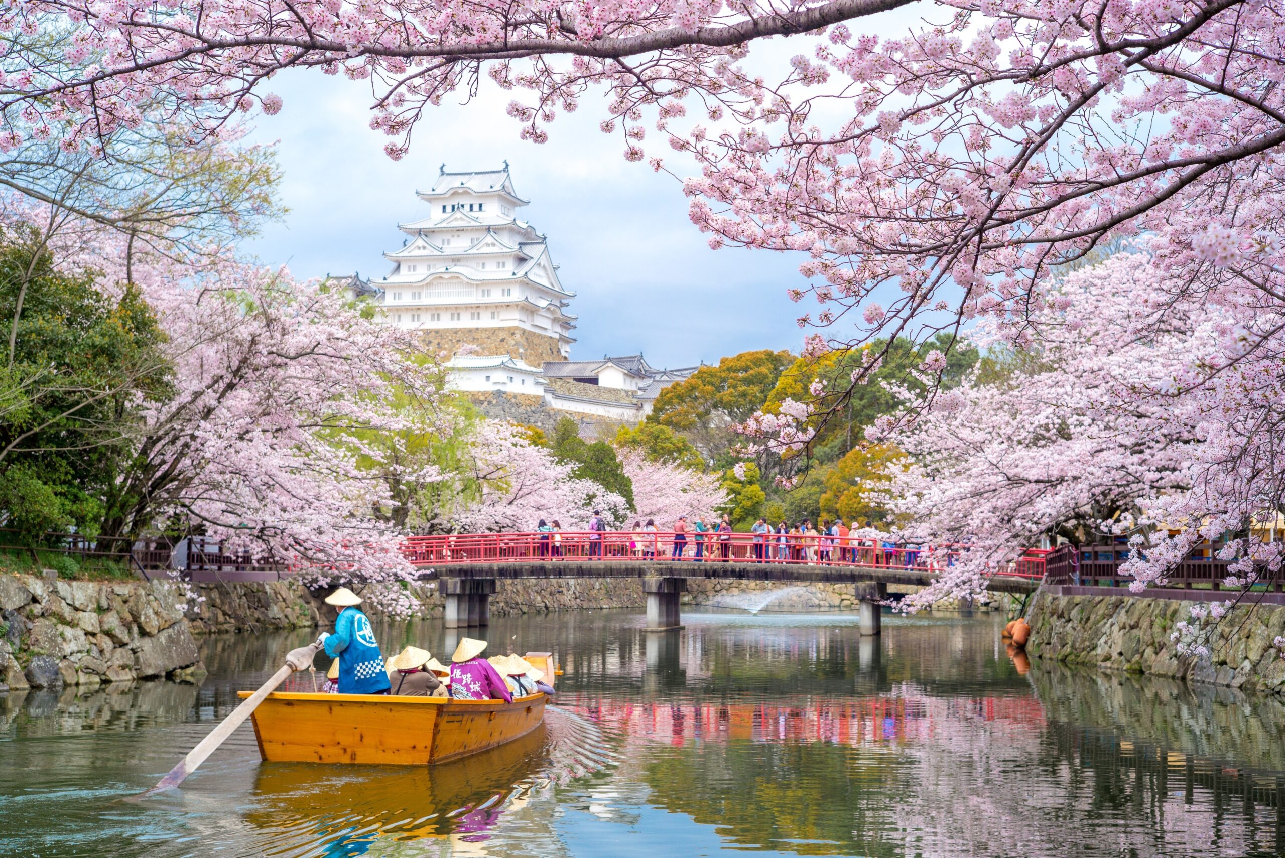Tour Nhật Bản mùa hoa anh đào