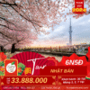 Tour Nhật Bản tết âm lịch năm 2024