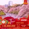 Tour Du lịch Nhật Bản Tết 2024