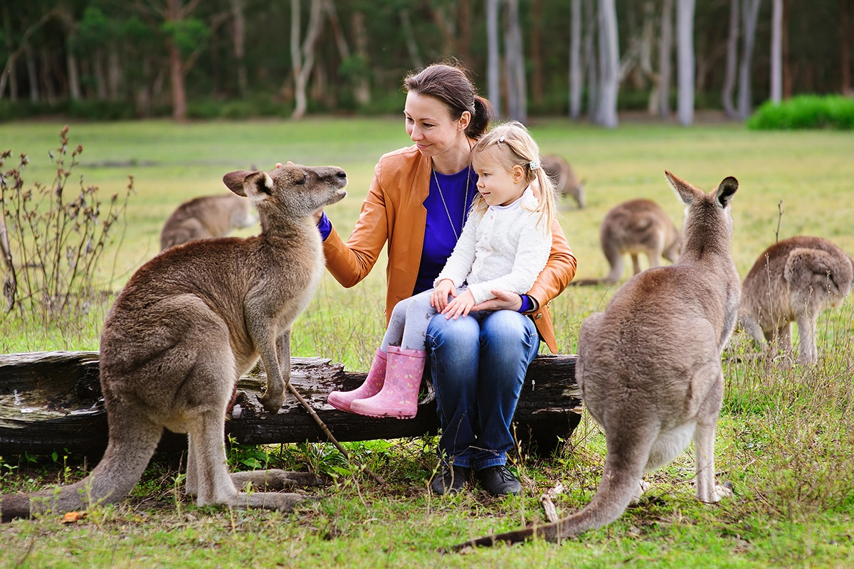 Thiên nhiên đã ban tặng cho nước Úc nhiều cảnh đẹp