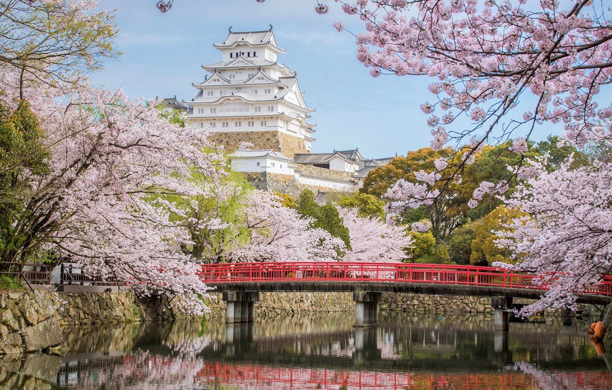 Lâu đài Osaka - Địa điểm ngắm hoa anh đào ở Nhật 