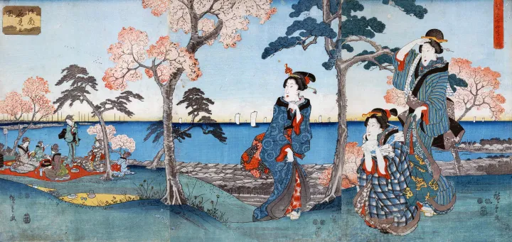 Hanami Nhật Bản hoa anh đào