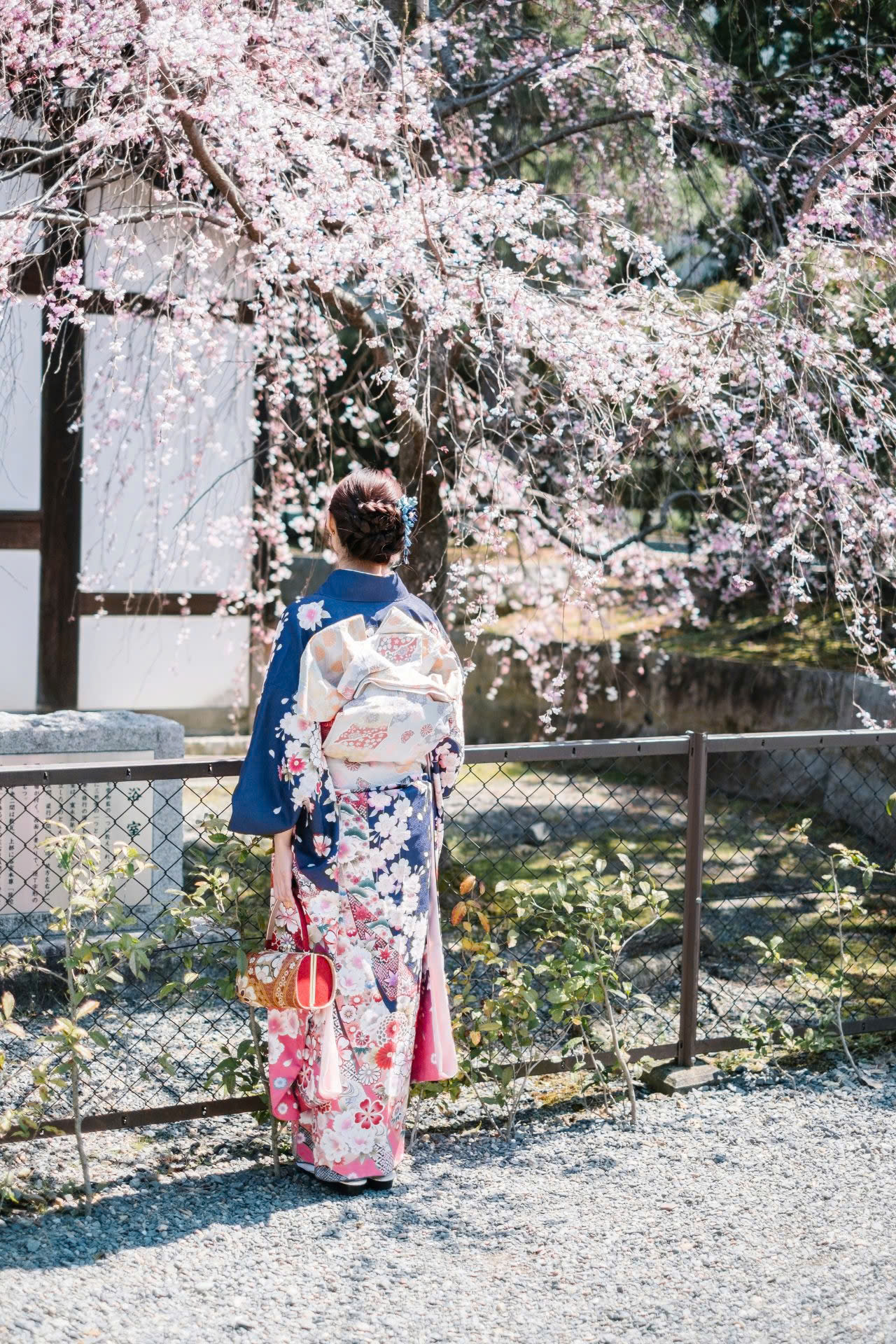 Hanami Nhật Bản - Lễ hội Hoa Anh Đào Tại Nhật Bản