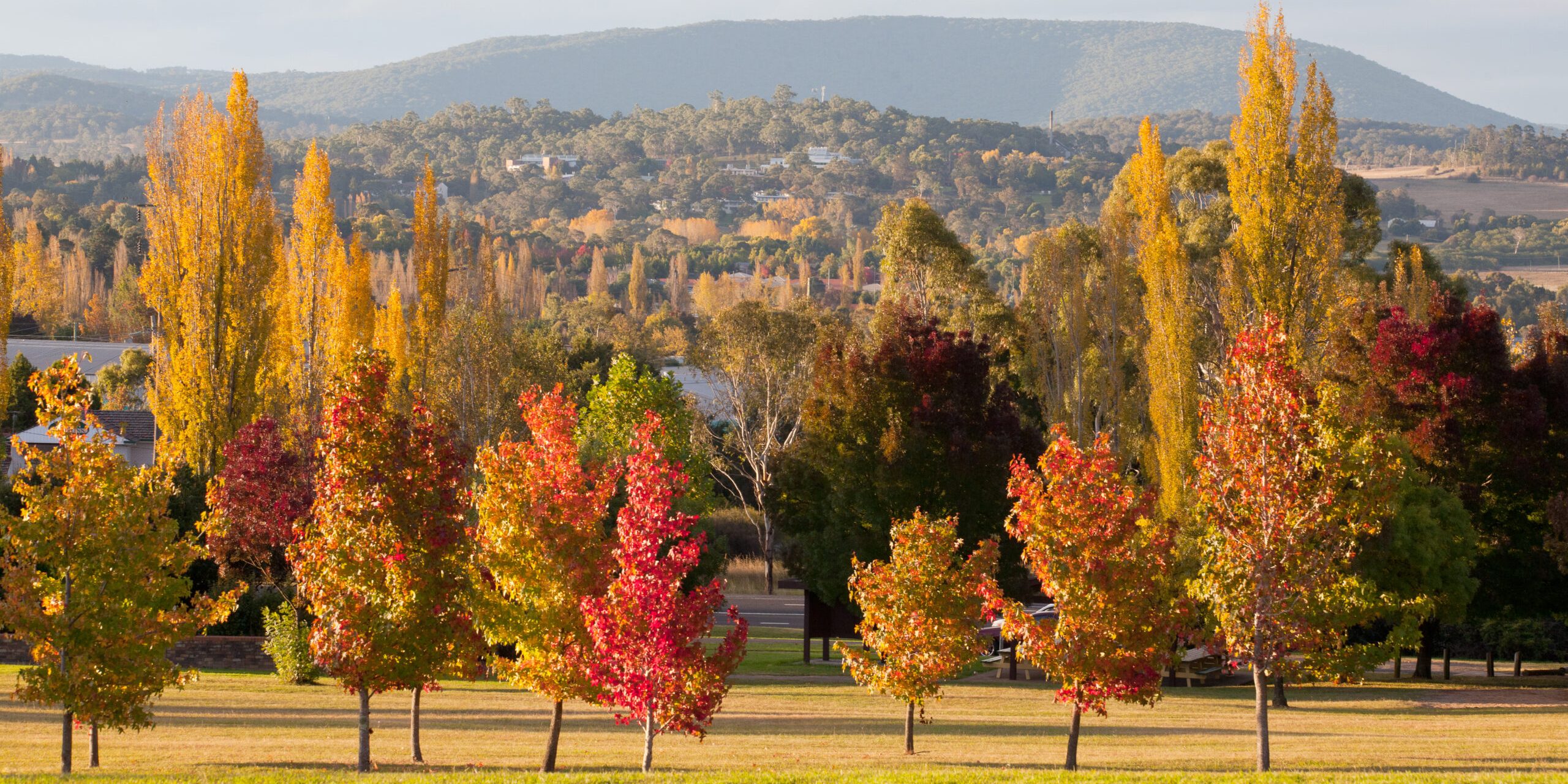 Armidale Úc