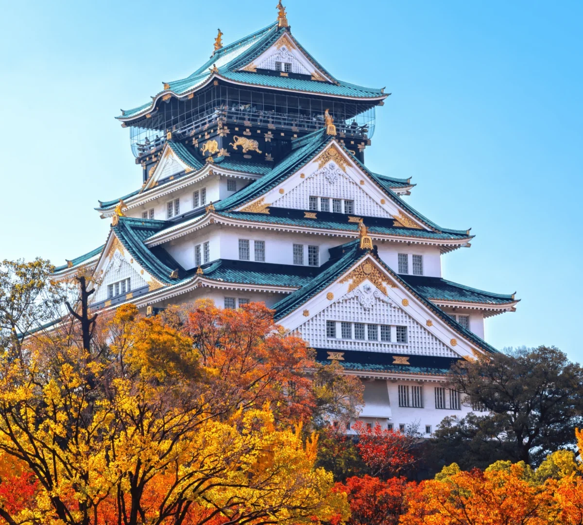Mùa lá đỏ Nhật Bản tại lâu đài Osaka