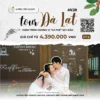 Tour Đà Lạt 2024 - Hành trình hương vị “cà phê” say đắm