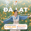 Tour Đà Lạt hoa Dã quỳ 3n2d