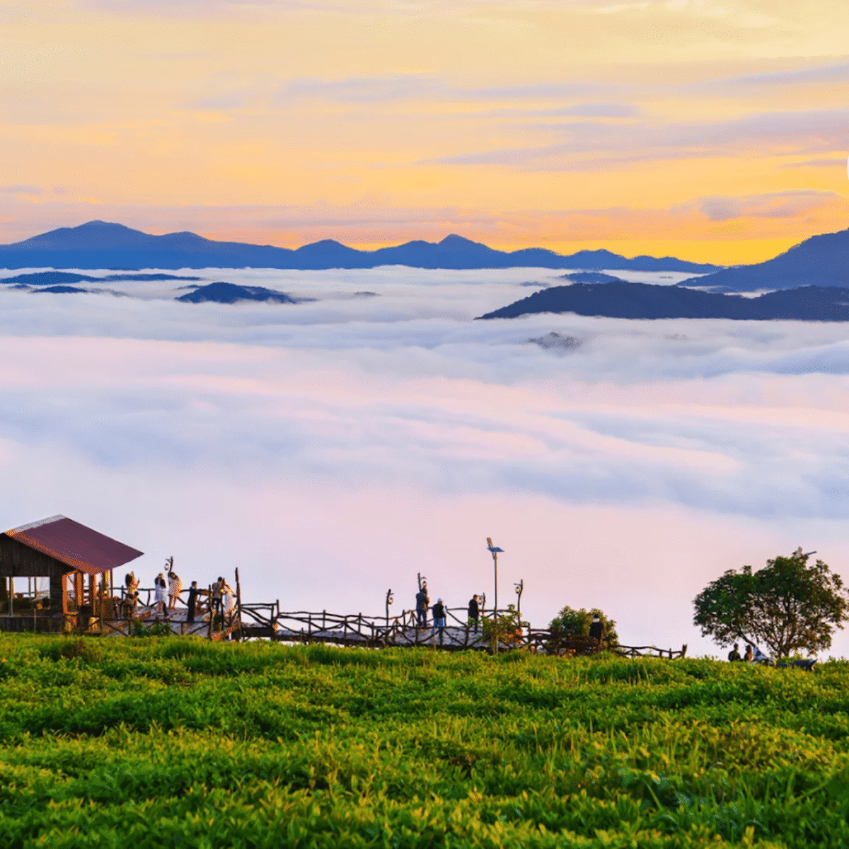 Dalat travel da lat tours 7