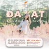 Tour Đà Lạt đồi cỏ Hồng