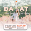 Tour Đà Lạt đồi cỏ Hồng
