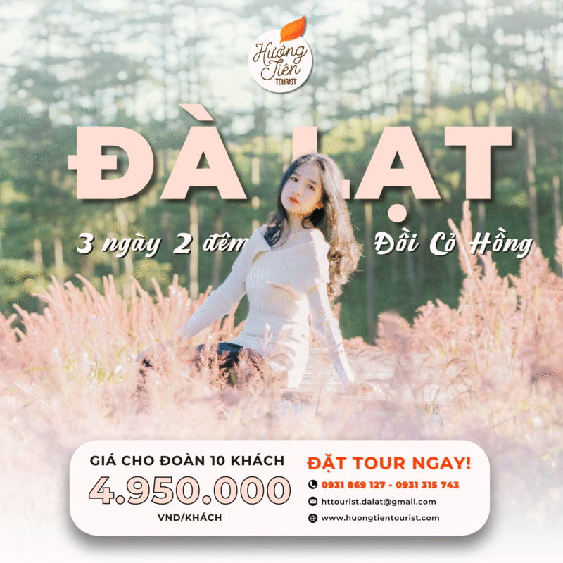 Tour Đà Lạt đồi cỏ Hồng