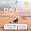 Tour đà Lạt 1 ngày đồi cỏ hồng