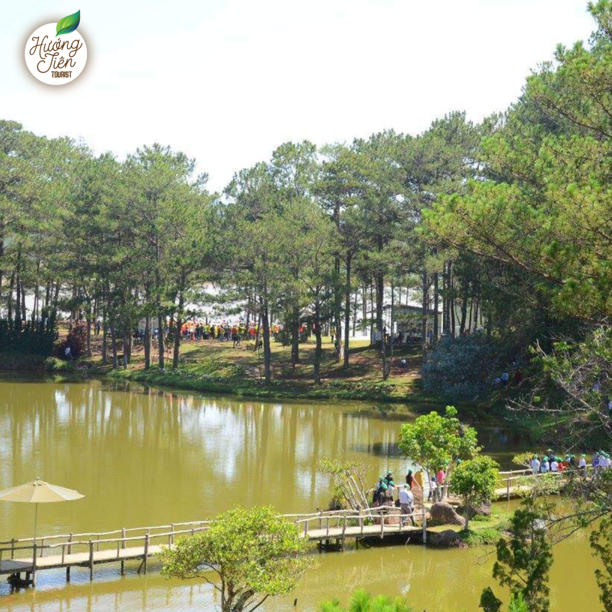 Golden Valley on the Da Lat Land Tour, featuring lush landscapes, vibrant flower gardens, and pine forests.