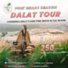 Promotional poster for Dalat Land Tour featuring Pink Grass Hill, 3-day itinerary starting at 250 USD