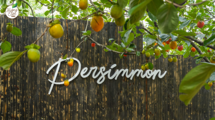 Da Lat Land Tour stop at Persimmon Cafe showcasing locally inspired drinks in a tranquil, natural setting.