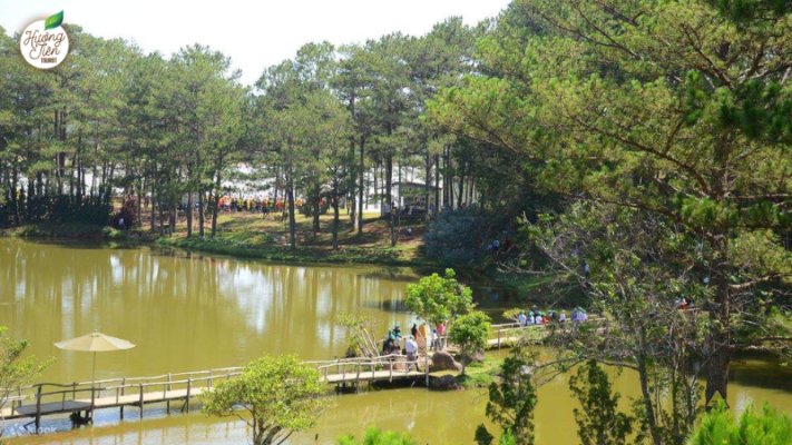 Golden Valley on the Da Lat Land Tour, featuring lush landscapes, vibrant flower gardens, and pine forests.