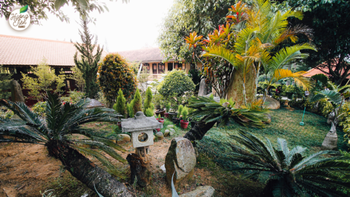 Peaceful garden with tropical plants and stone lantern at Zen Monastery in Dalat, Vietnam.