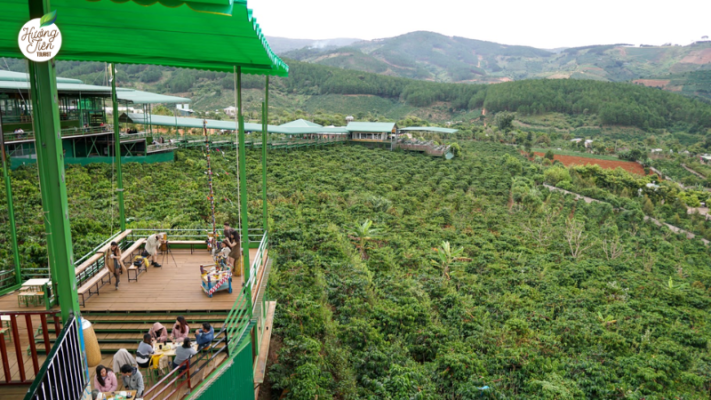 View from Me Linh Coffee Garden in Dalat, overlooking lush coffee plantations