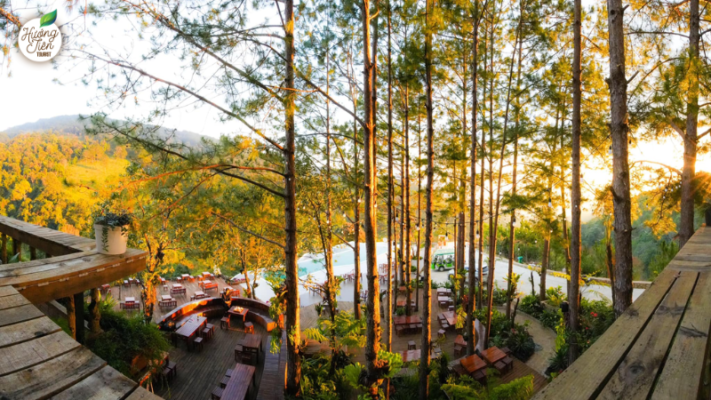 Scenic dining area in Dalat surrounded by pine trees at sunset, ideal for nature lovers.