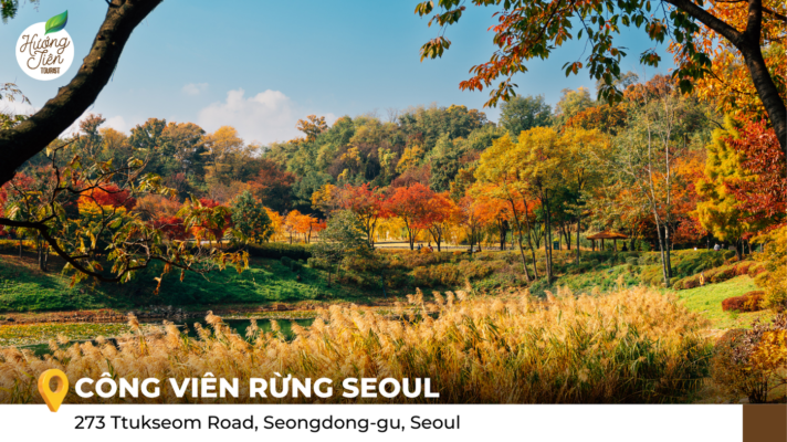 Cảnh thu tại Công viên Rừng Seoul