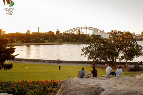 Vườn Bách thảo Hoàng gia Sydney với tầm nhìn ra Cầu Sydney Harbour.