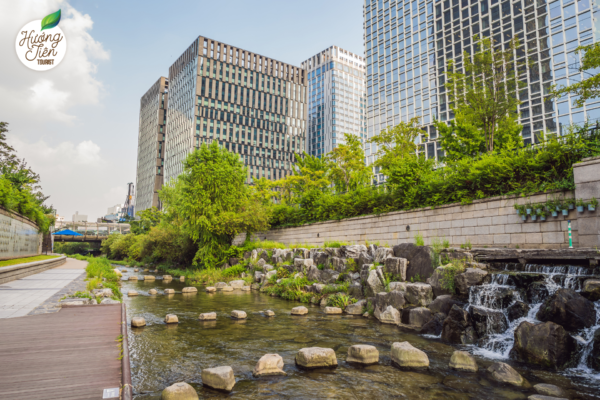 Suối Cheonggyecheon trong Tour Hàn Quốc Cao Cấp 5 Ngày Seoul - Nami