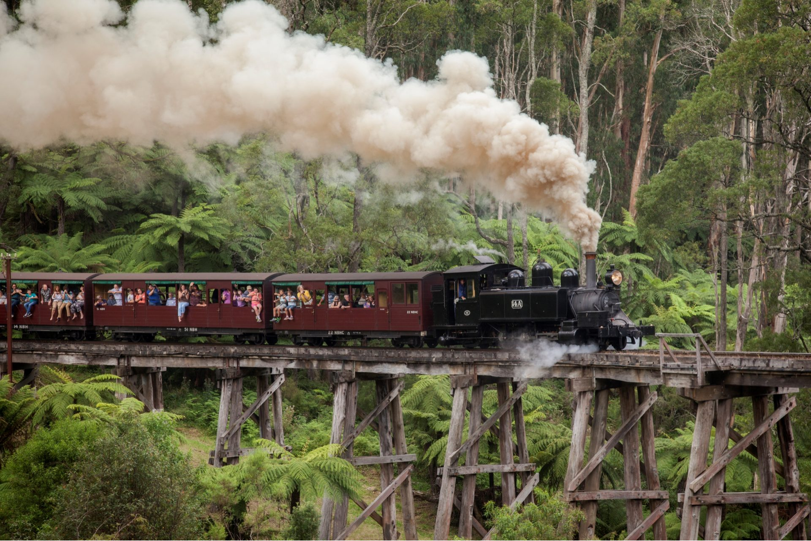 Tàu hơi nước Puffing Billy nhả khói trắng khi chạy qua cầu gỗ Trestle giữa khung cảnh thiên nhiên tuyệt đẹp.