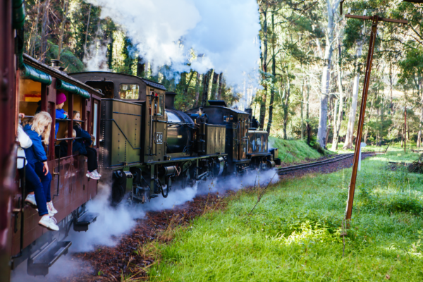 Hình ảnh tàu hơi nước Puffing Billy với khói trắng đặc trưng chạy qua khu rừng Dandenong Ranges