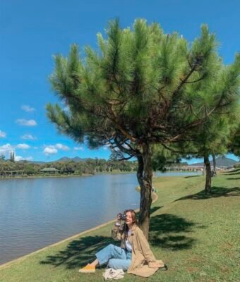 A visitor relaxing on the grassy lakeside under a pine tree at Xuan Huong Lake.