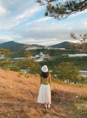 A scenic overview of lush greenery and farms near Xuan Huong Lake in Dalat.