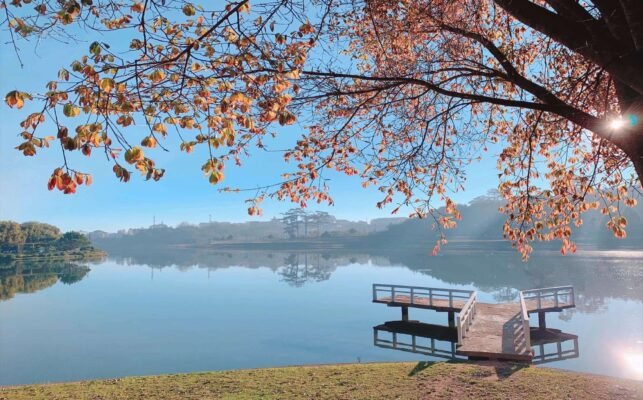 A bright, sunny view of Xuan Huong Lake reflecting the surrounding landscape