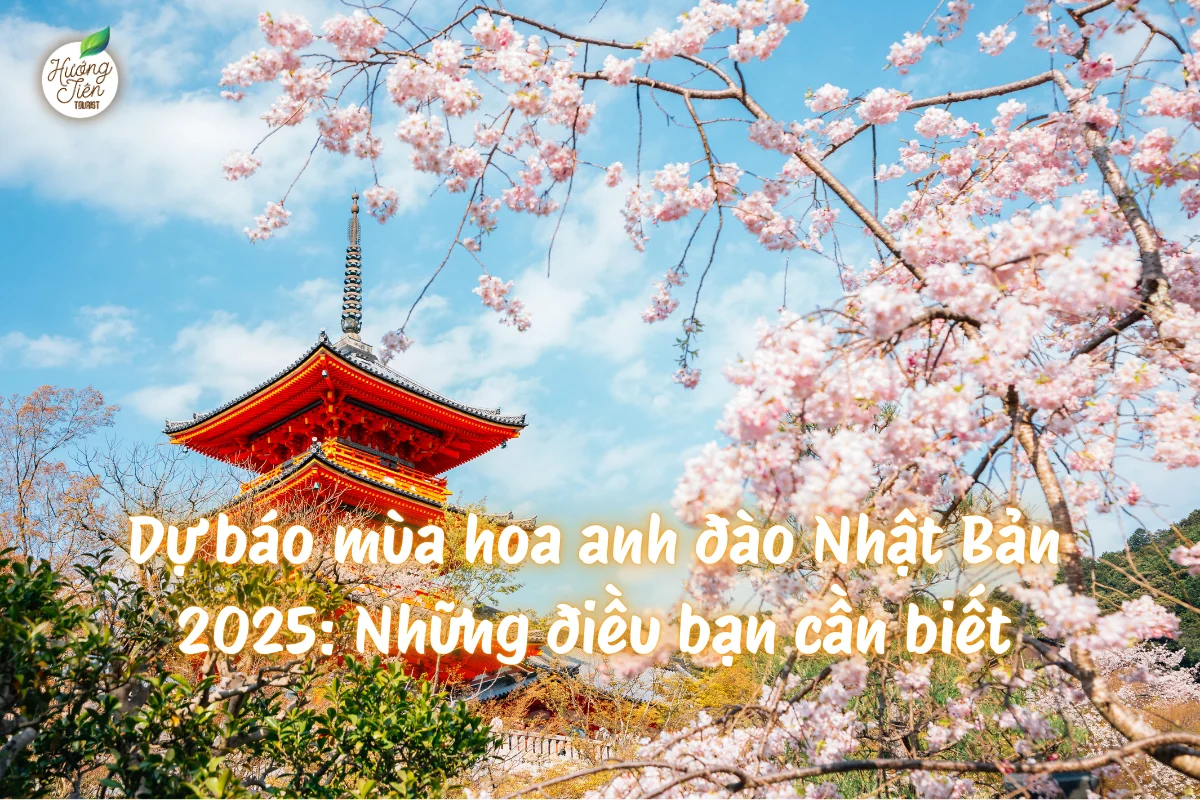 Hình ảnh nổi bật với hoa anh đào Nhật Bản 2025 và cảnh quan đền chùa truyền thống, điểm nhấn văn hóa mùa xuân