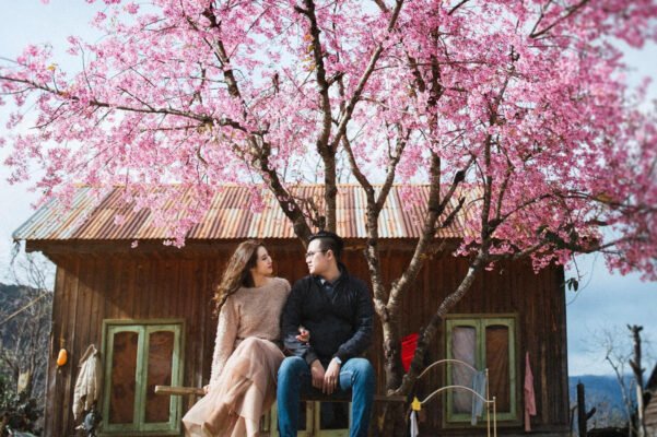 Visitors not only get to admire the beauty of cherry blossoms but also participate in many interesting experiences. Photo: Go Cong