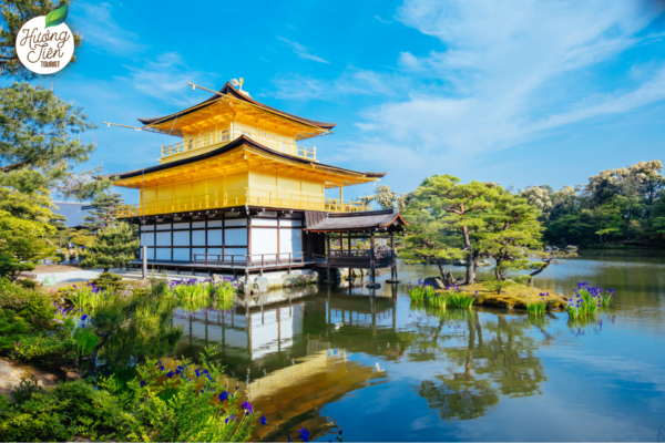 Ngôi chùa Vàng Kinkakuji rực rỡ - biểu tượng nổi bật của Kyoto trong hành trình Tour Nhật Bản Tết 2025.